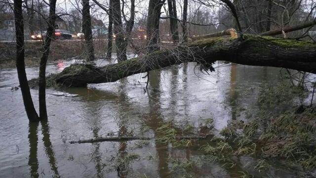 В Калининграде снова затопило дворы на ул. Дзержинского