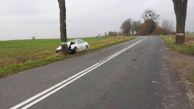 В Правдинском районе Mercedes врезался в дерево, пострадал водитель
