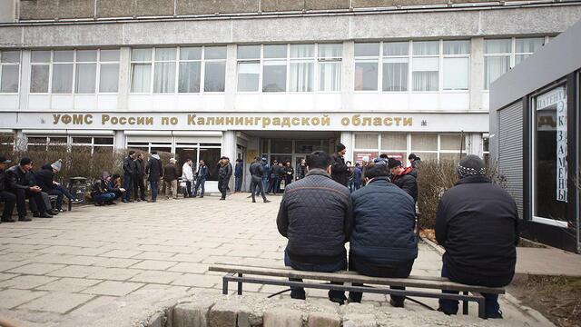 МВД: В России растёт количество фиктивных браков с мигрантами 