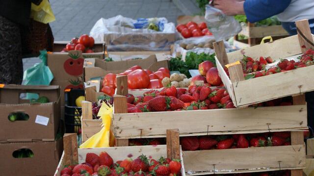 В Гурьевском районе начали собирать первую в этом году клубнику 