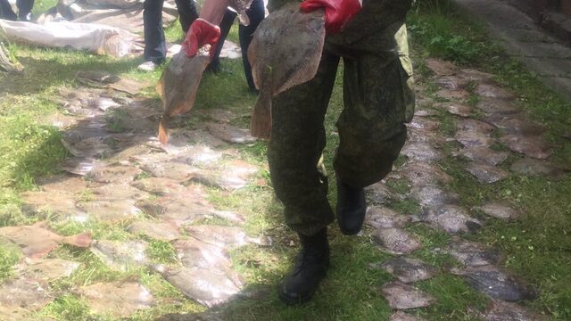 Калининградские пограничники задержали семерых браконьеров за ловлю камбалы (фото, видео)