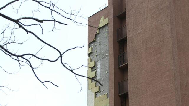 В Калининграде ветер опрокинул остановку и повалил дерево на машину такси (фото)