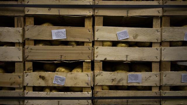 Россельхознадзор будет следить за белорусскими продуктами от границы до места продажи  