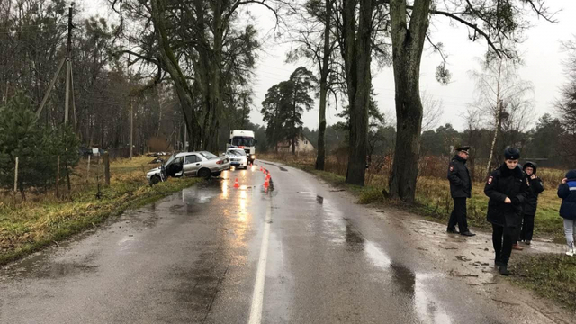 В Гвардейском районе автомобиль врезался в дерево, погибла двухлетняя девочка