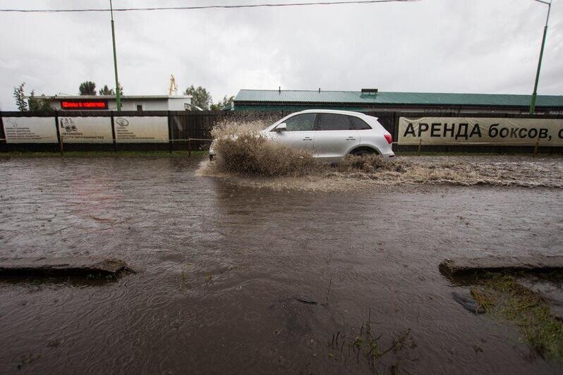 Фото: Александр Подгорчук