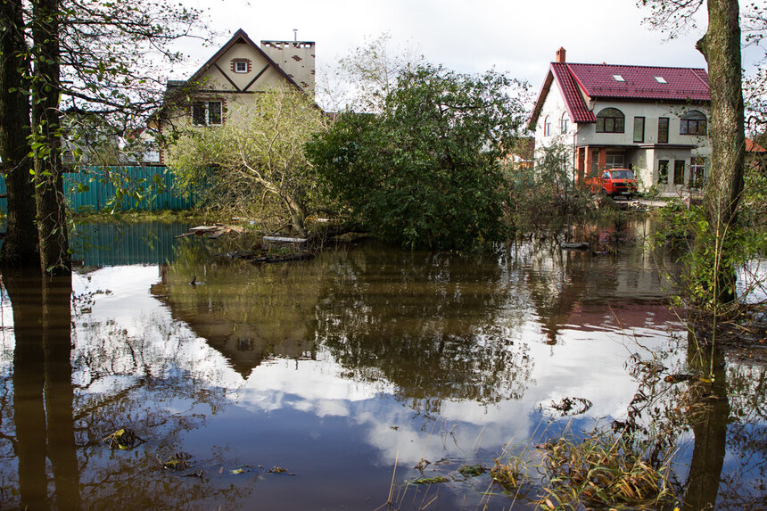 Фото: Александр Подгорчук