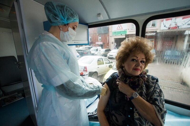 Фото: Александр Подгорчук / Клопс.Ru