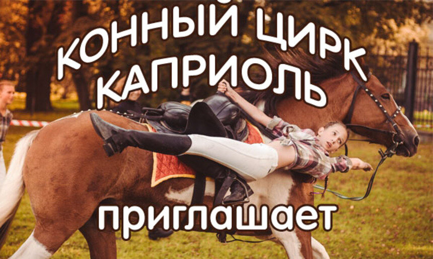 Конноспортивный центр "Каприоль" приглашает взрослых и детей на праздничные гуляния - Новости Калининграда