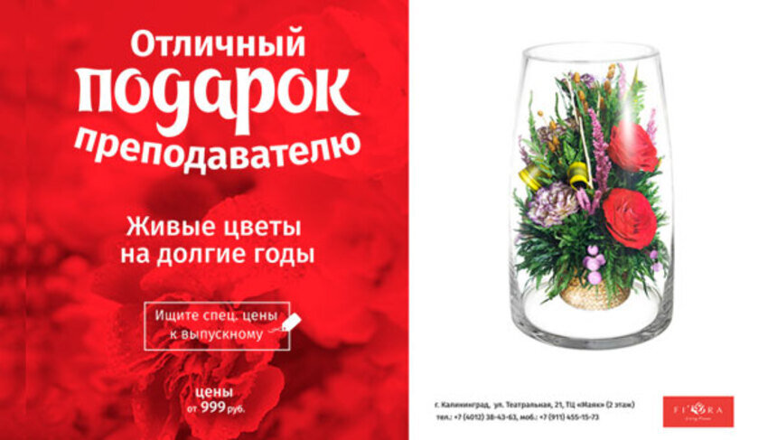 Букет будет стоять пять лет: где найти оригинальный подарок для любимого преподавателя - Новости Калининграда