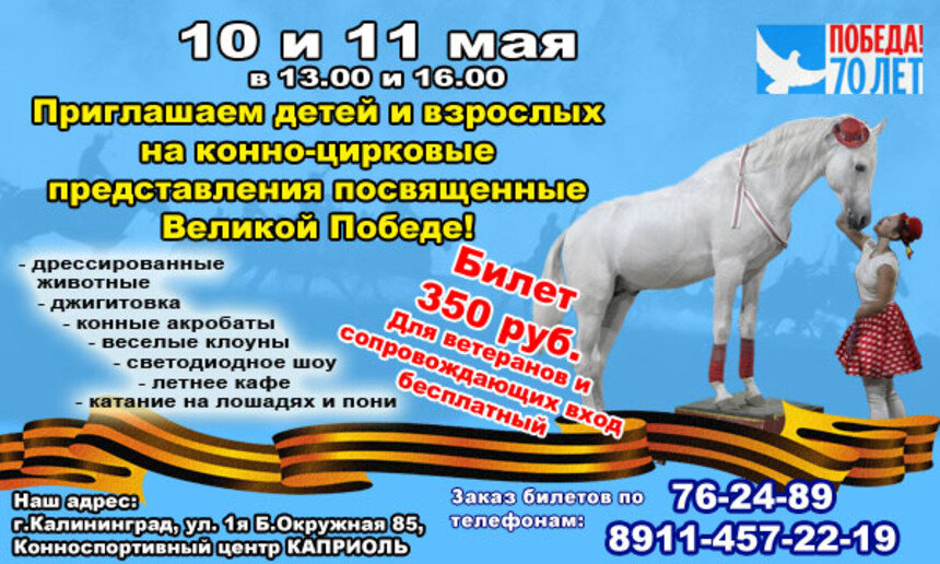 Конный цирк покажет представления, посвященные дню Великой Победы - Новости Калининграда