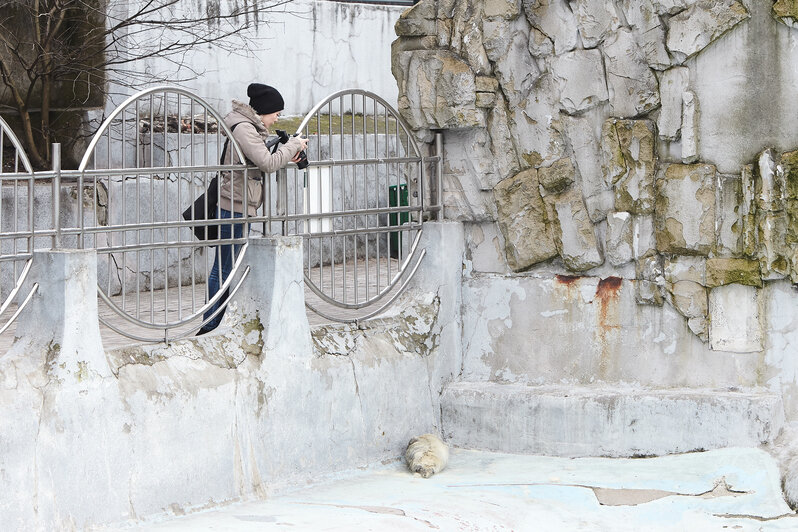 Фото Клопс.Ru. Автор: Александр Подгорчук