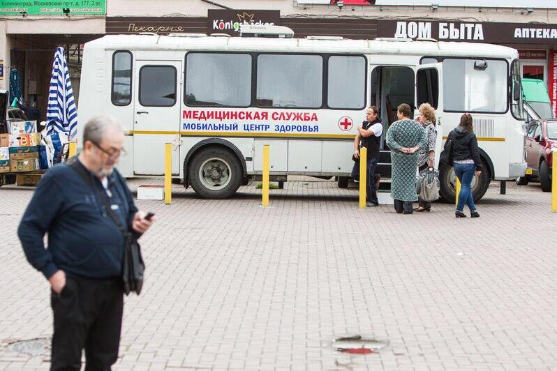 Фото: Александр Подгорчук / Клопс.Ru