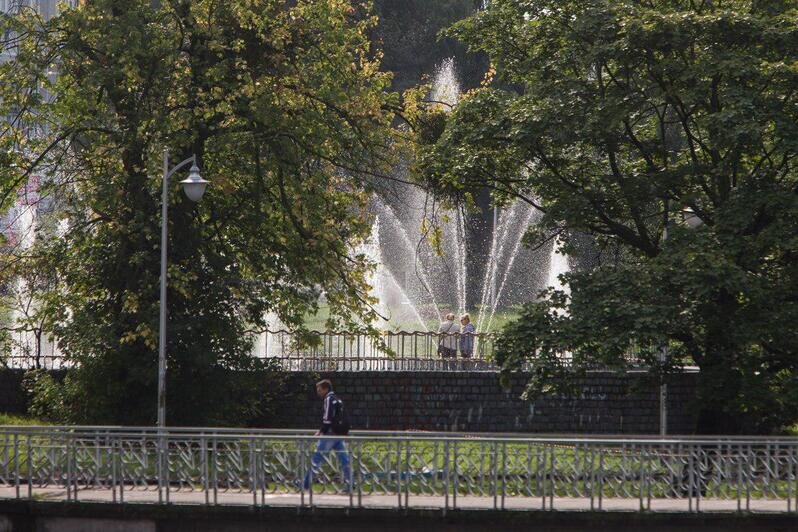 Фото: Александр Подгорчук