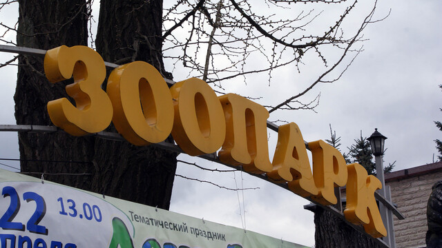  Калининградский зоопарк в 2018 году планирует попасть в Европейскую ассоциацию
