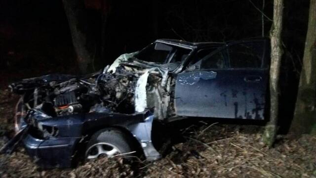 В Светловском районе Honda врезалась в дерево, пострадал водитель 