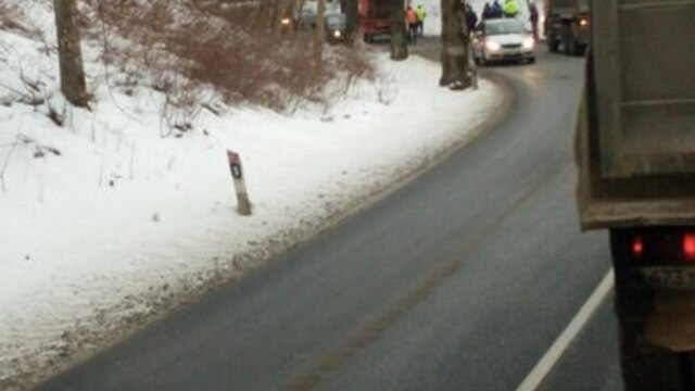 В районе Кумачёво мусоровоз врезался в дерево, есть пострадавший
