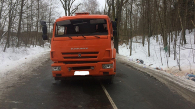 В Зеленоградском районе КамАЗ выехал на встречку и врезался в дерево, водитель госпитализирован