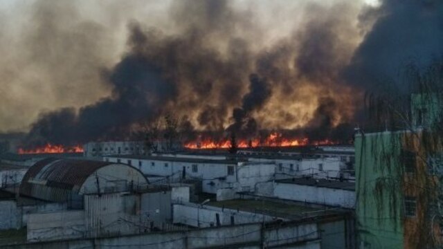 В Калининграде горит поле за исправительной колонией №8 (фото)
