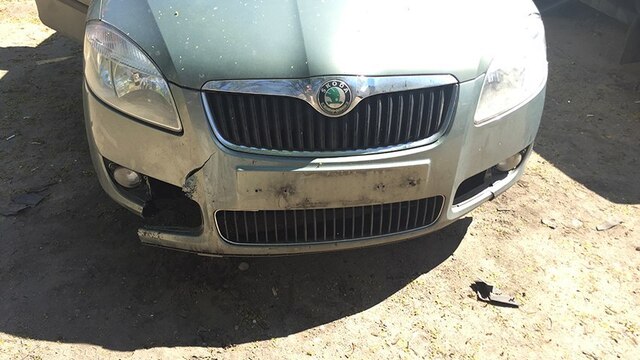 Калининградцу пришлось трубой отбиваться от собак, напавших на автомобиль