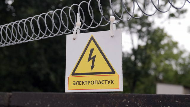 В Озёрском районе осудили четверых мужчин за кражу электропастухов с пастбищ 