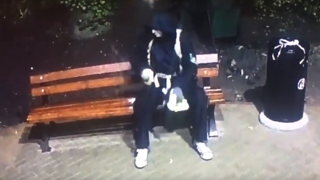 МВД опубликовало видео, на котором неизвестный распиливает скамейки на ул. Брамса