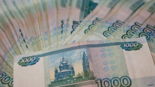 В Калининграде пятеро депутатов не стали отчитываться перед губернатором о доходах