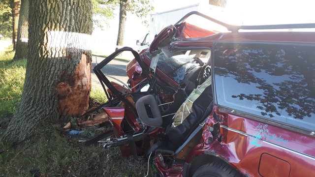 В Правдинском районе авто на полном ходу врезалось в дерево, есть пострадавший (фото)