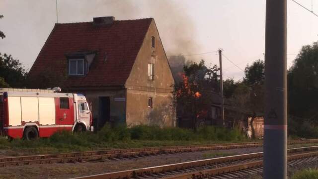 В Зеленоградске у железной дороги сгорел сарай с тонной сена (фото)