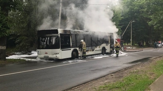 Под Светлогорском загорелся рейсовый автобус с пассажирами (фото)