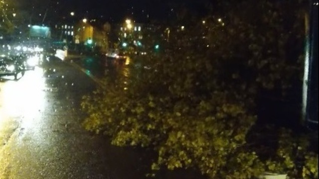 В Калининграде на перекрёстке ул. Борзова и Комсомольской рухнувшее дерево оборвало провода (видео)