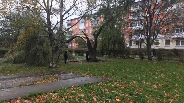 Последствия шторма в Калининградской области (фото и видео)
