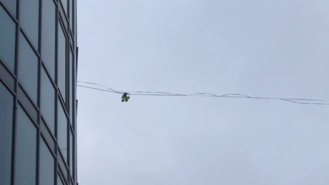 В Петербурге канатоходец сорвался с троса, натянутого между многоэтажками (видео)