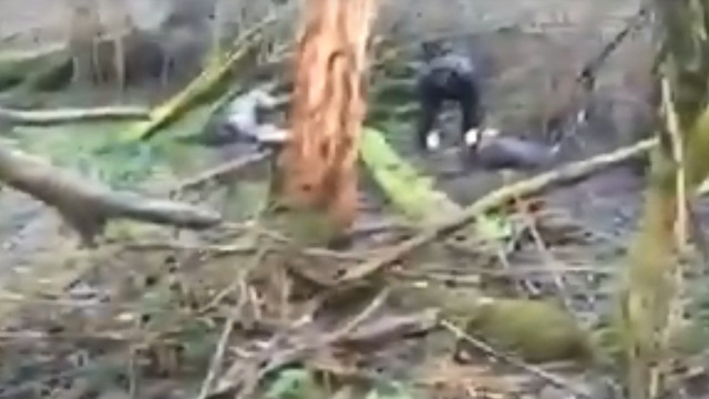 Появилось видео с места взрыва у замка Бальга, где погиб искатель антиквариата