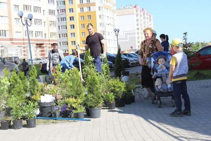 "Место, где свет": куда переезжают жители Калининграда? - Новости Калининграда