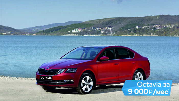 В "ОТТО КАР" действуют специальные выгоды на покупку ŠKODA OCTAVIA - Новости Калининграда