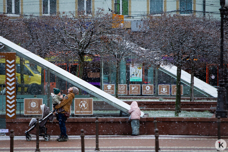 В Калининграде прошёл снег (фоторепортаж) - Новости Калининграда | Александр Подгорчук / "Клопс"