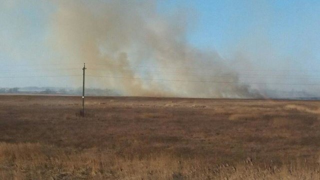 В калининградском МЧС опровергли популярные мифы о пользе выжигания прошлогодней травы