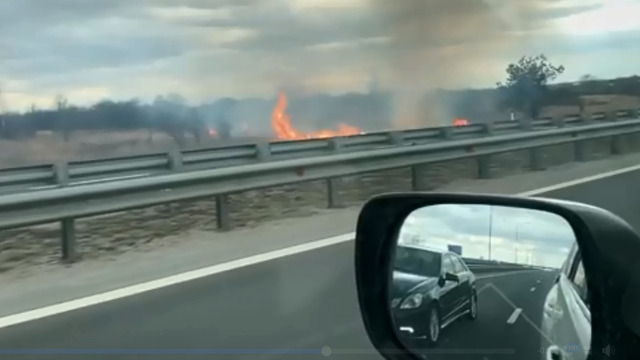 В Гвардейске рядом с автозаправкой загорелась трава (видео)