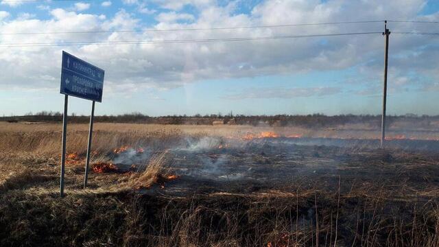 В Гурьевском городском округе дорога оказалась в дыму из-за пала травы (фото)