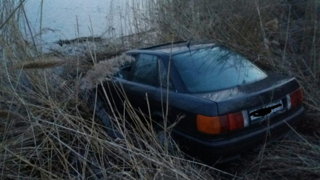 В Прибрежном Audi 80 съехала в озеро, понадобилась помощь спасателей (фото)