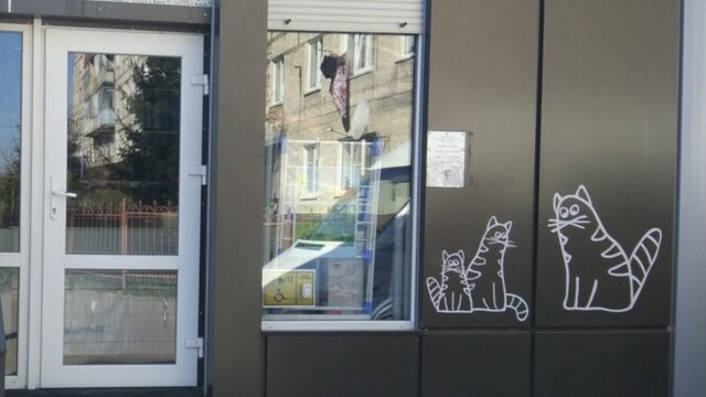 В Зеленоградске предприниматели украшают магазины изображениями котов