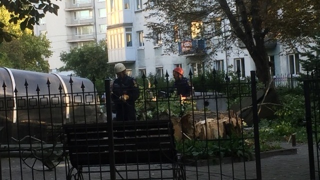 Очевидцы: в Калининграде на музей 