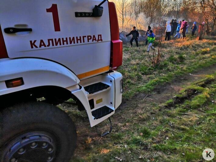 В Тихорецком тупике из-за пала травы загорелись покрышки вблизи построек (фото) - Новости Калининграда | Фото очевидца