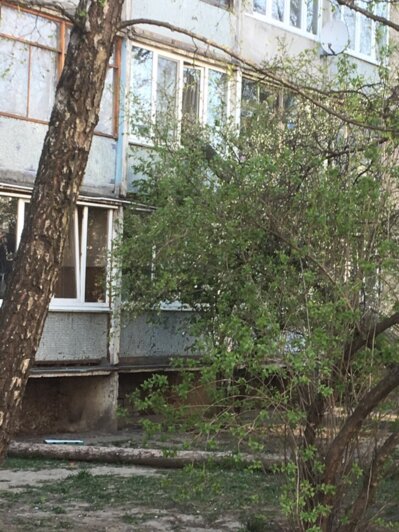 На ул. Батальной ветер повалил дерево на балкон жилой многоэтажки (фото)  - Новости Калининграда | Фото: читатель "Клопс"