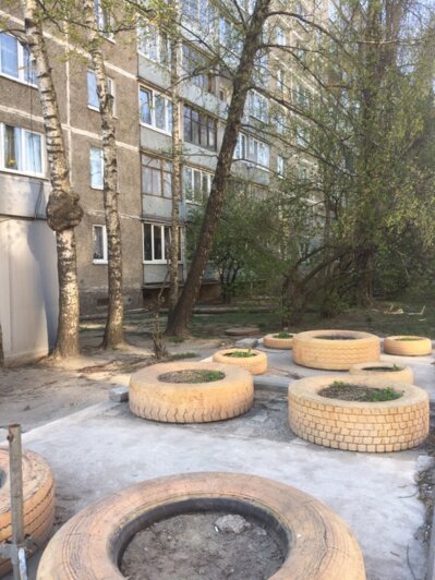 На ул. Батальной ветер повалил дерево на балкон жилой многоэтажки (фото)  - Новости Калининграда | Фото: читатель "Клопс"