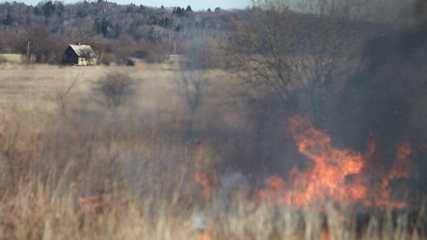 В Забайкалье пастух сжёг 600 гектаров леса, пытаясь приготовить еду на костре - Новости Калининграда | Архив "Клопс"
