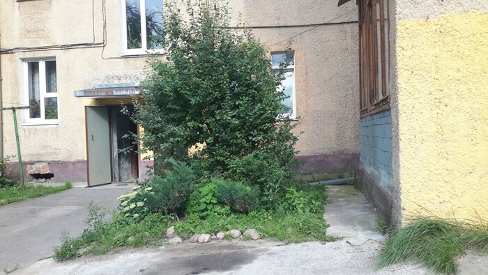 Дом, с которого упала штукатурка | Фото:  Софья Кормаева