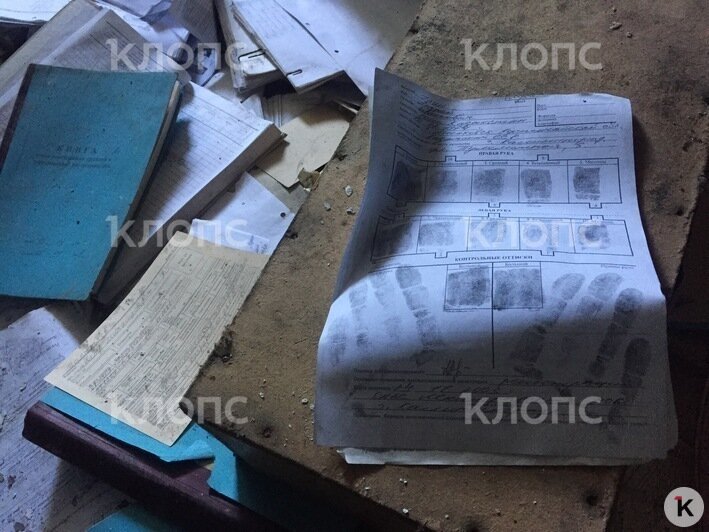 В заброшенном здании на Артиллерийской обнаружены тысячи копий паспортов и другие личные документы (фото) - Новости Калининграда | Александр Подгорчук / "Клопс"