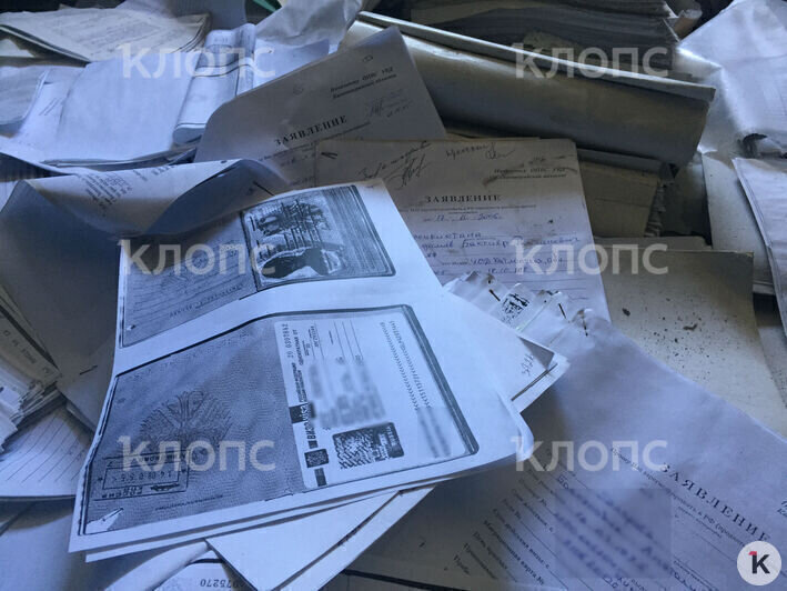 В заброшенном здании на Артиллерийской обнаружены тысячи копий паспортов и другие личные документы (фото) - Новости Калининграда | Александр Подгорчук / "Клопс"