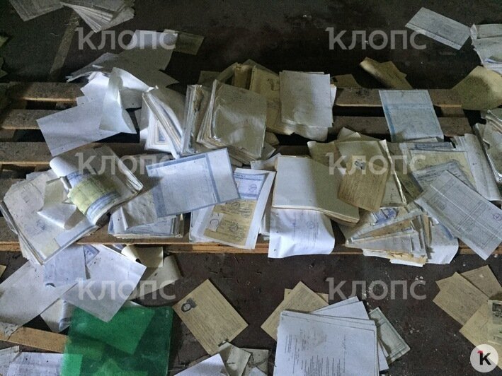 В заброшенном здании на Артиллерийской обнаружены тысячи копий паспортов и другие личные документы (фото) - Новости Калининграда | Александр Подгорчук / "Клопс"